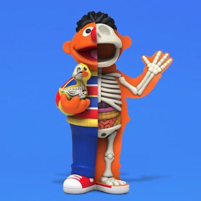 Sesame Street Hidden Dissectibles Series Blind Box