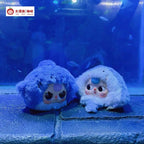 Baby Three-Romantic Ocean Plush Blind Box